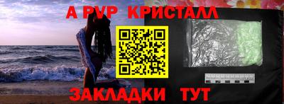 ешки Гай