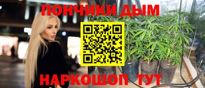 мдпв Гатчина