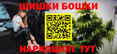 мдпв Гатчина