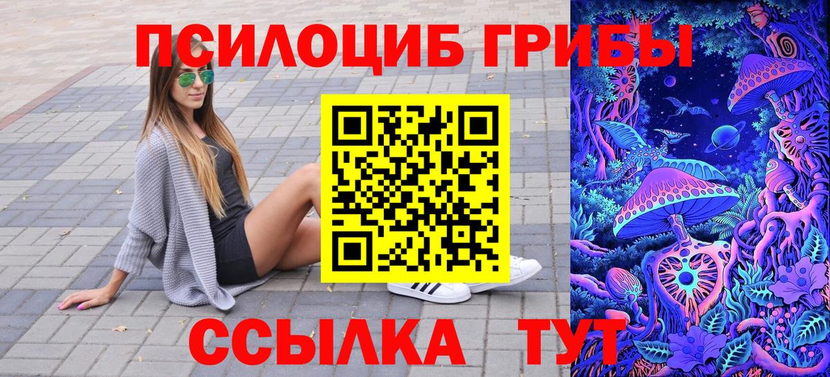 Наро-Фоминск  Псилоцибиновые грибы Cubensis  Вход с VPN 